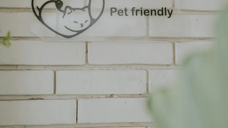 Identifique os sinais de que seu pet está doente