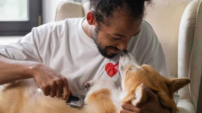 Escovação de Pelo: Cuidados Essenciais para Seu Pet