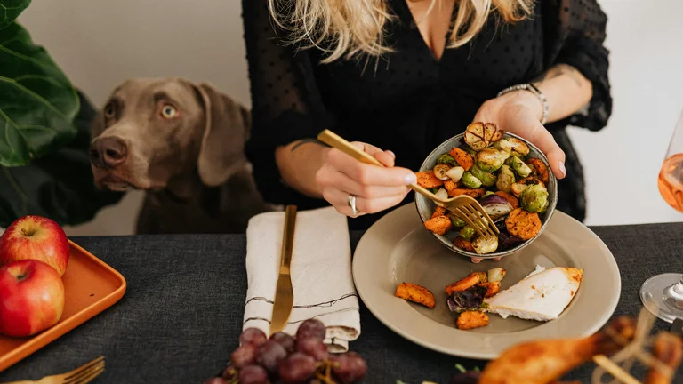 Snacks Saudáveis para Pets: Dicas e Benefícios