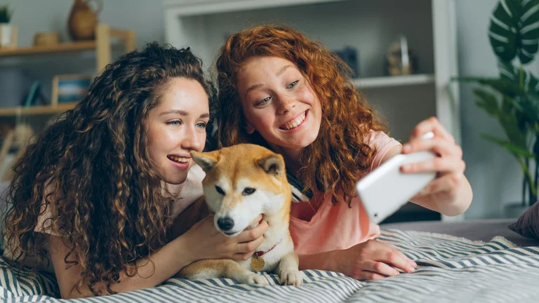 Os Pets Mais Engraçados nas Redes Sociais