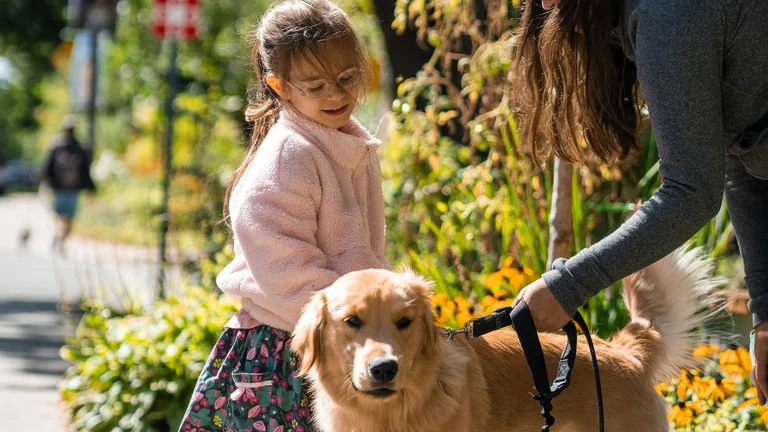 Raças de Cães para Famílias com Crianças