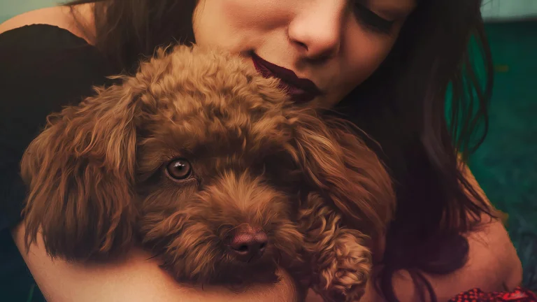 O Impacto dos Pets na Saúde Mental Humana
