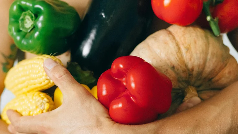 Dietas Cruas (BARF): Entenda os Benefícios e Riscos