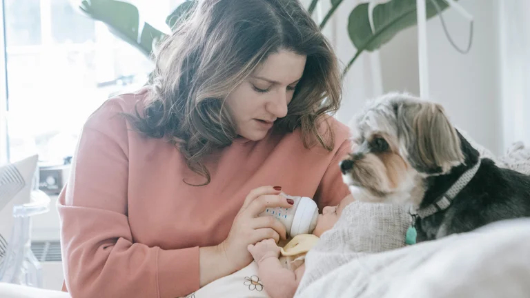 Como Lidar com a Ansiedade de Separação em Pets