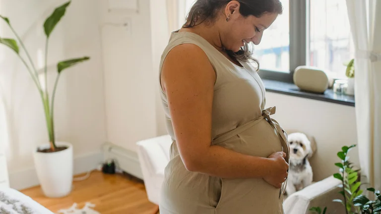 Como Introduzir um Novo Pet na Sua Família com Sucesso