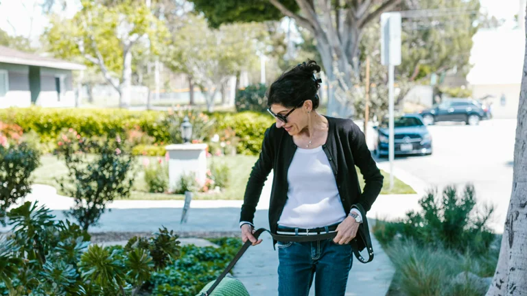 Guia Completo: Ensinar Seu Pet a Andar na Coleira