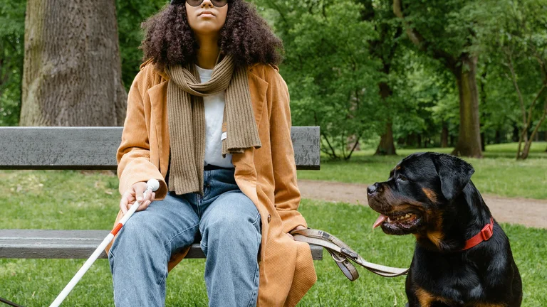 Aprenda sobre o Treinamento de Serviço para Pets