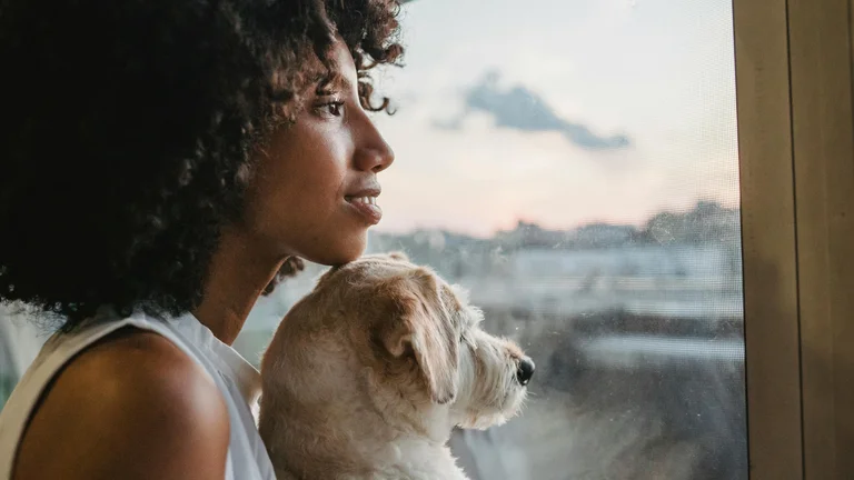 Como dar banho no seu pet em casa: Dicas Essenciais