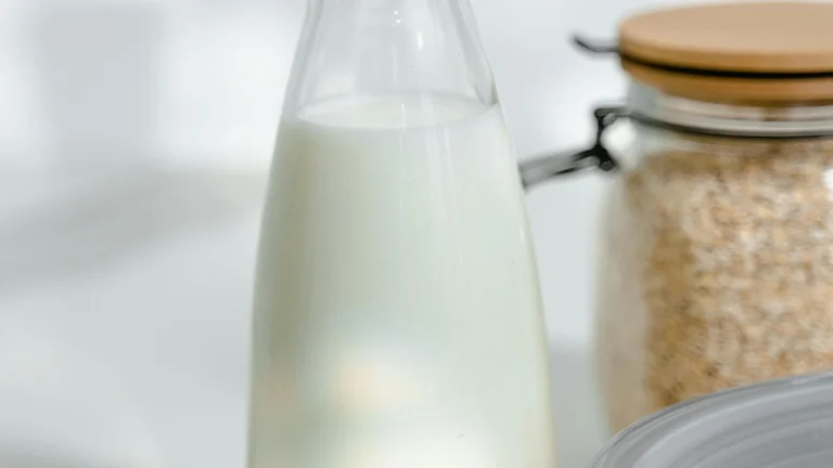Dietas Caseiras para Pets: Prós e Contras Esclarecidos