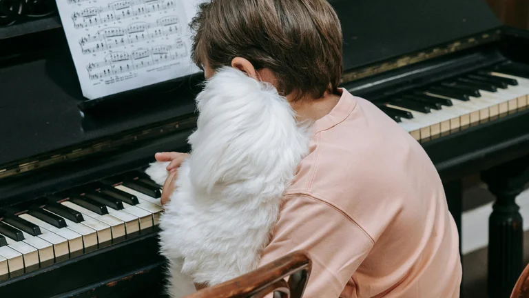 Pets e sua relação com a música: como eles reagem