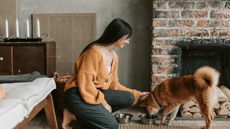Dicas para Pets que Comem Muito Rápido