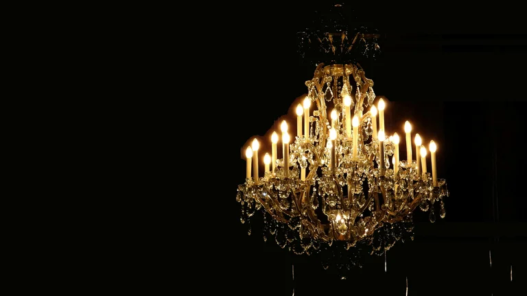 Gatos Persas: Elegância e Manutenção Ideal