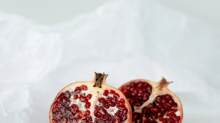 Dietas para Pets com Alergias Alimentares