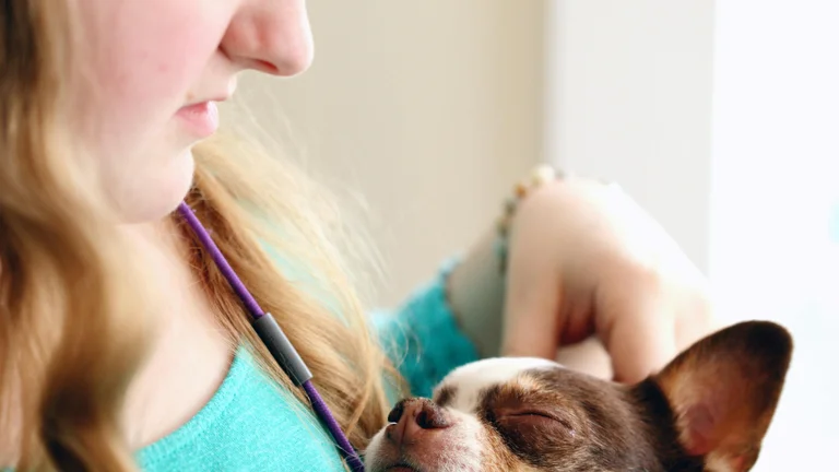 A Relação Fascinante entre Pets e Música