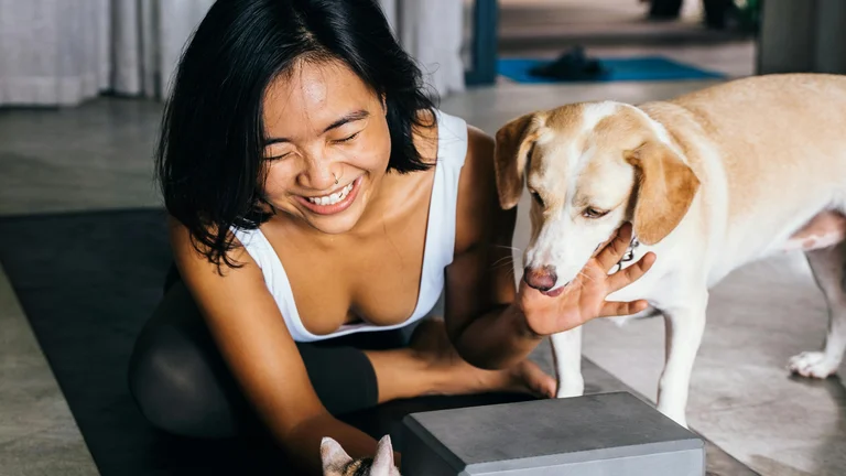Escovação de Dentes para Pets: A Saúde Bucal em Foco