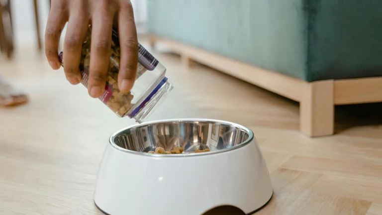 Como Ler Rótulos de Ração para Pets Eficazmente