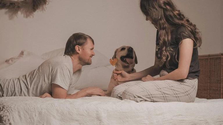 Mitos e Verdades sobre Cães: O que Você Precisa Saber