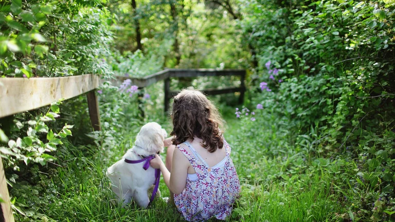 Alternativas Naturais para Cuidar da Pele e Pelagem dos Pets