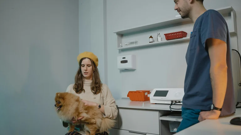 Preparando Seu Pet para a Visita ao Veterinário
