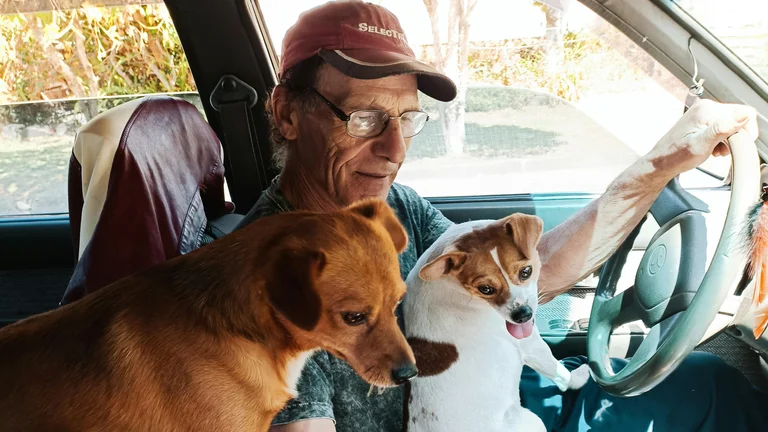 Os Pets Mais Populares ao Redor do Mundo