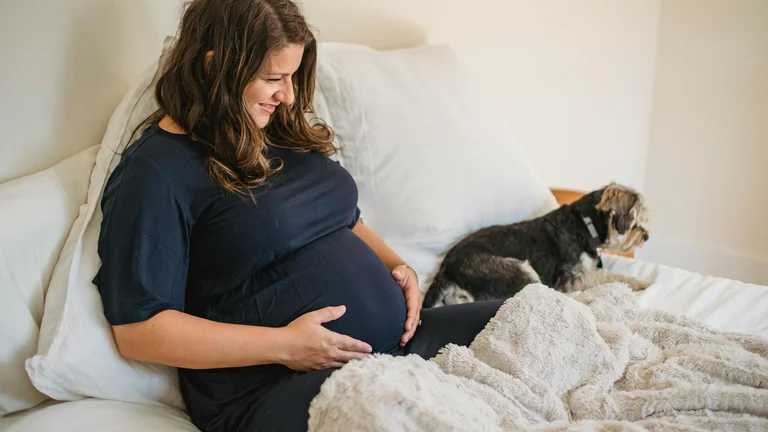 Cuidados Essenciais para Pets Grávidas